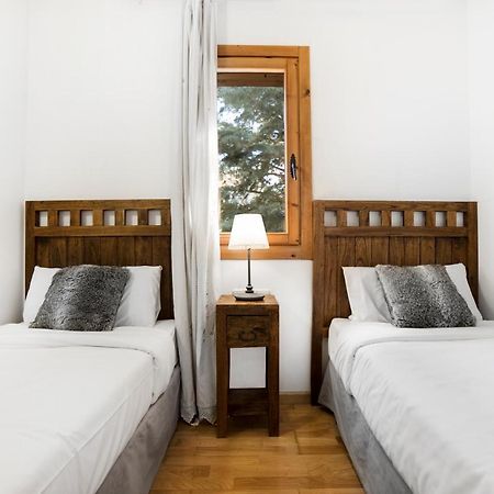 Apartaments Esquirol Ель-Тартер Екстер'єр фото